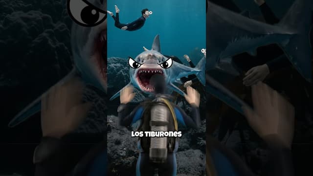 Miniatura: Tres mitos sobre tiburones