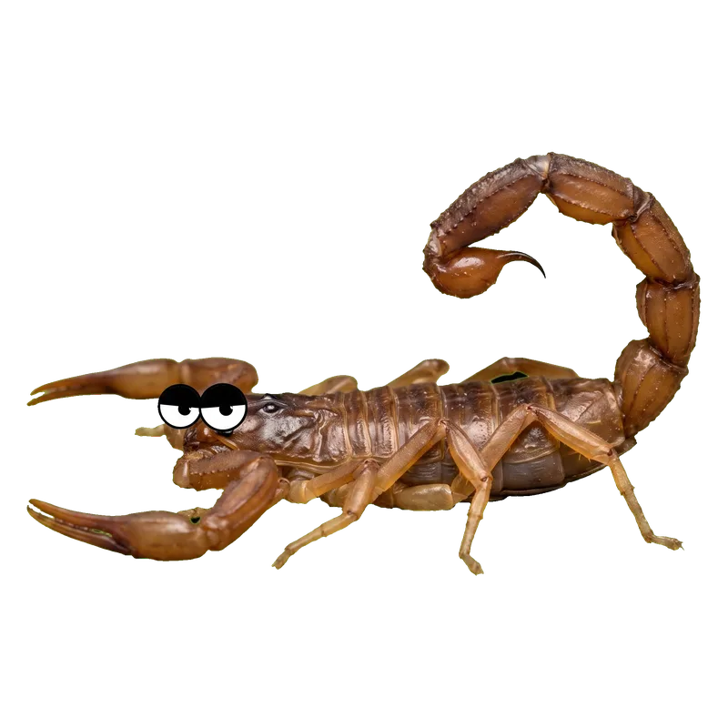 Escorpión emperador
