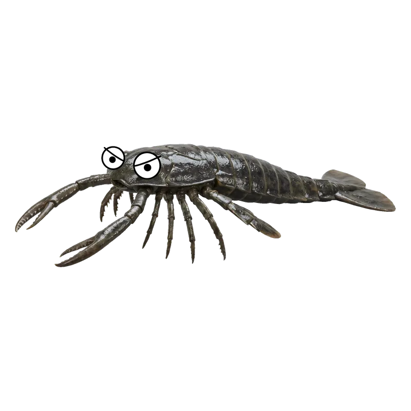 Jaekelopterus