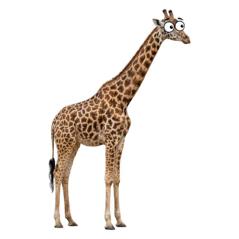 Jirafa