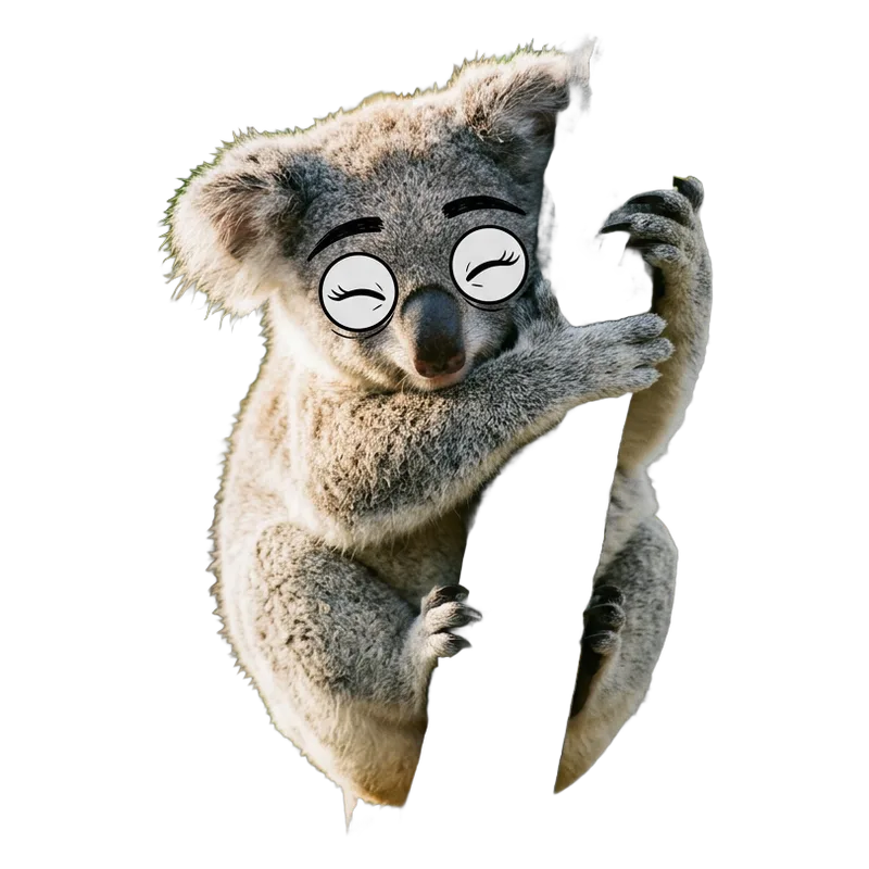 Koala (Phascolarctos cinereus) con ojos saltones, ilustración de GabSolf