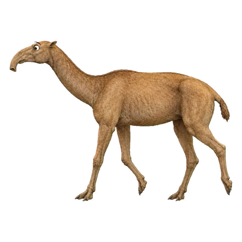 Macrauchenia (Macrauchenia patachonica) con ojos saltones, ilustración de GabSolf