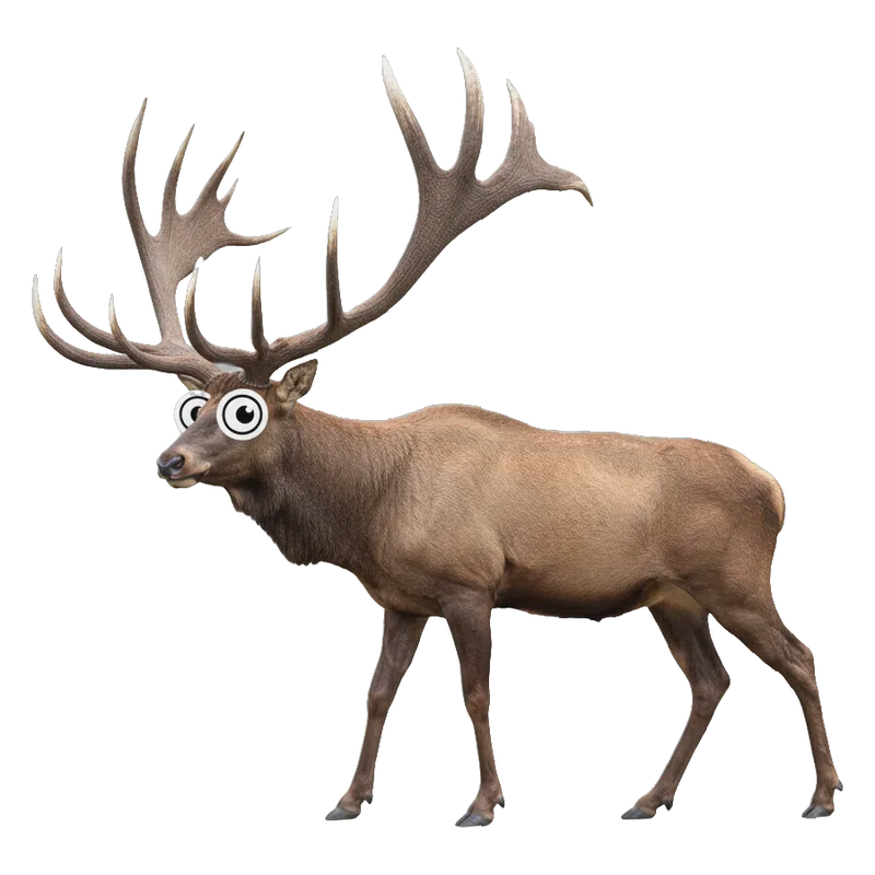 Megaloceros