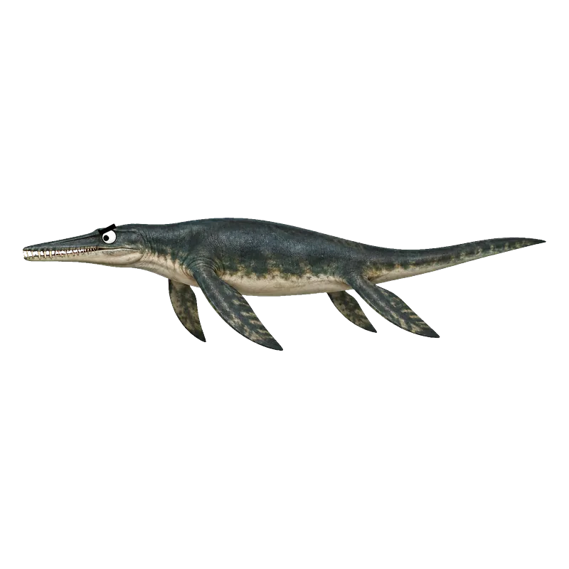 Nothosaurus (Nothosaurus giganteus) con ojos saltones, ilustración de GabSolf