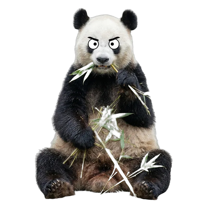 Panda gigante