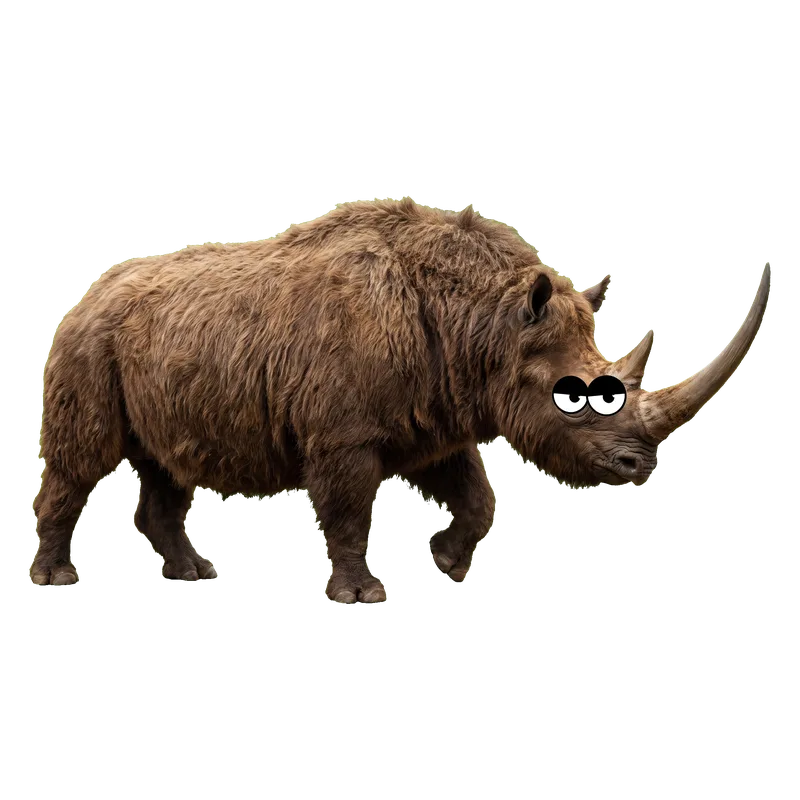Rinoceronte lanudo