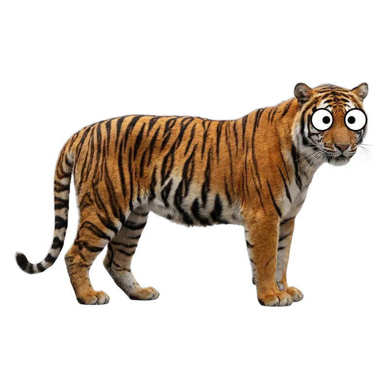 Tigre de Bengala