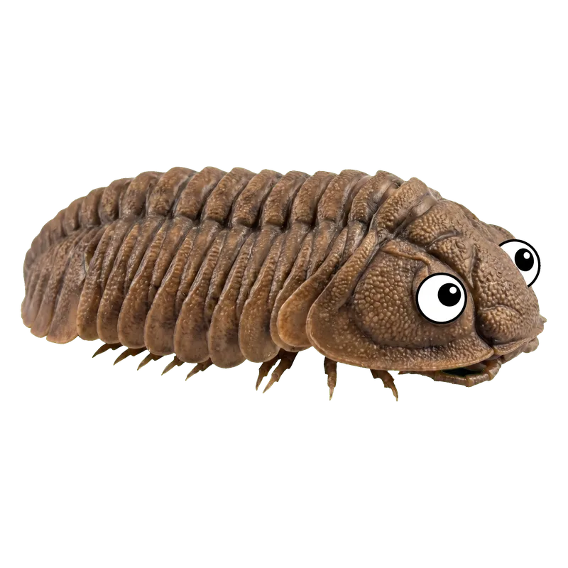 Trilobites