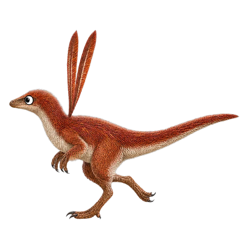 Ubirajara